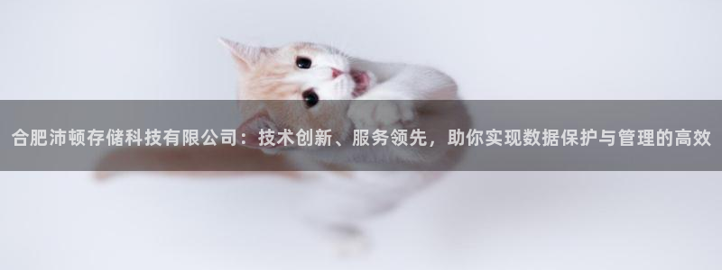 合肥沛顿存储科技有限公司：技术创新、服务领先，助你实现数据保护与管理的高效