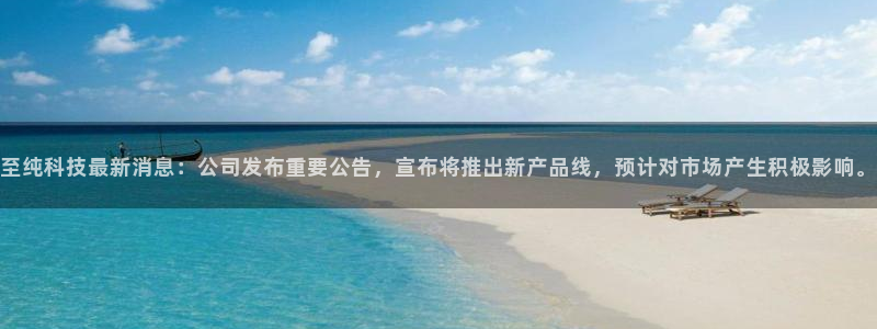 至纯科技最新消息：公司发布重要公告，宣布将推出新产品线，预计对市场产生积极影响。