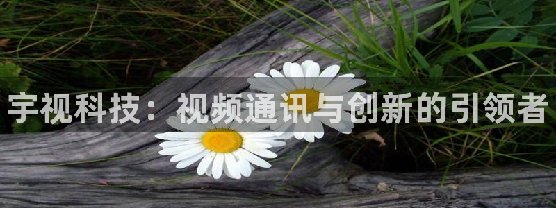 宇视科技：视频通讯与创新的引领者