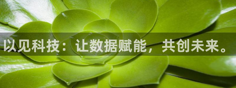 以见科技：让数据赋能，共创未来。
