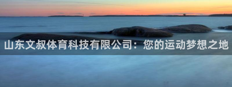 山东文叔体育科技有限公司：您的运动梦想之地