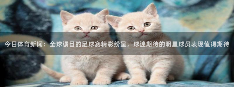 今日体育新闻：全球瞩目的足球赛精彩纷呈，球迷期待的明星球员表现值得期待