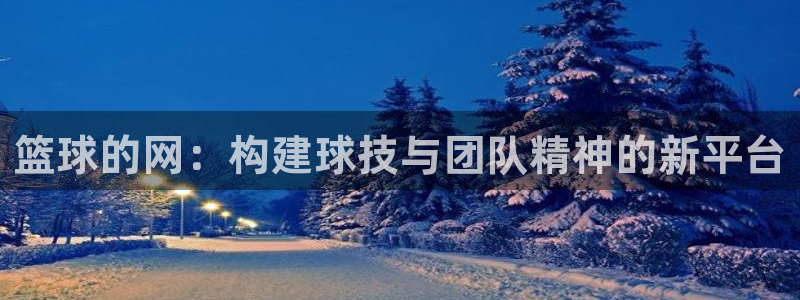 篮球的网：构建球技与团队精神的新平台